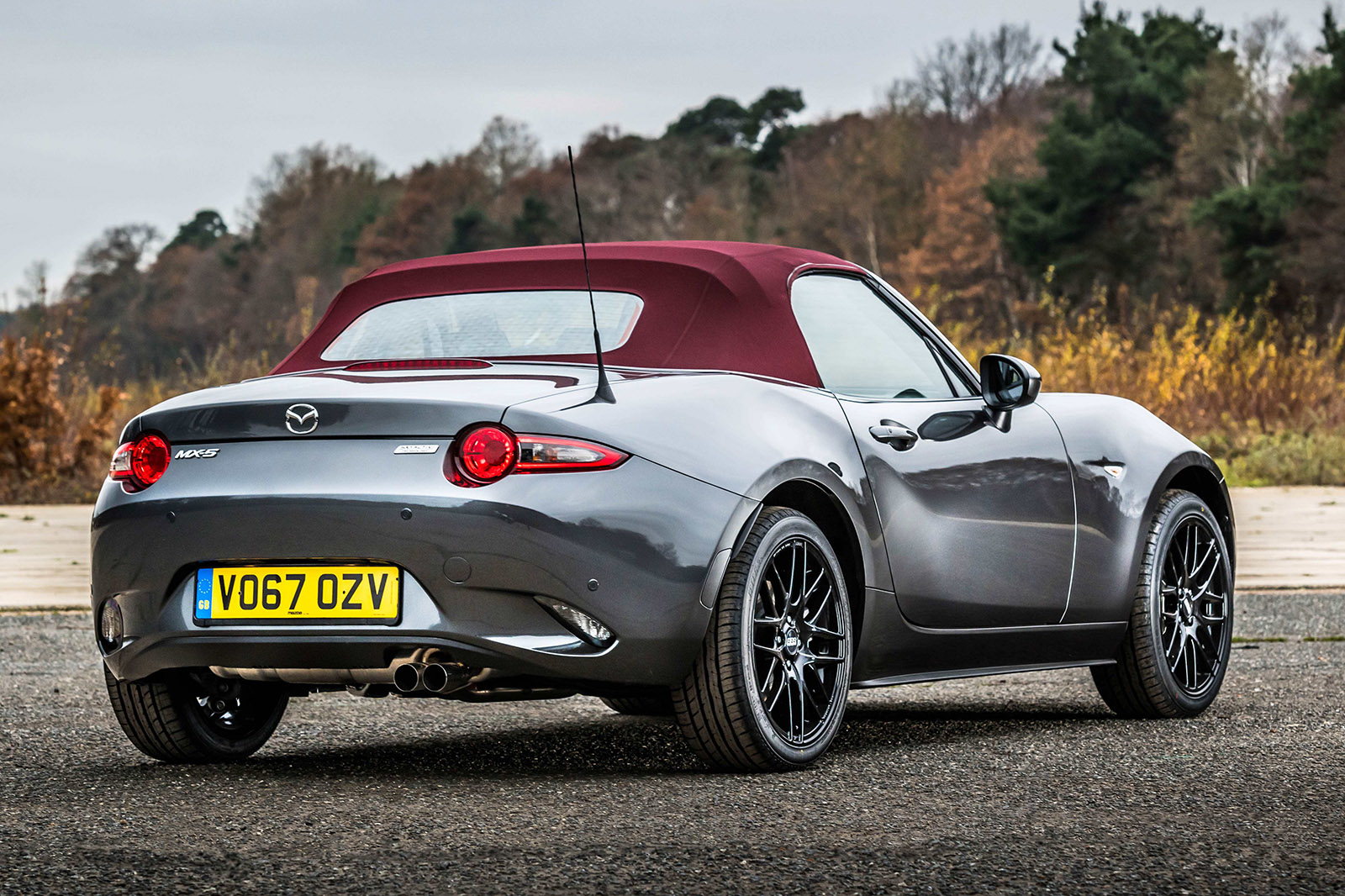 Z shop sport mx5