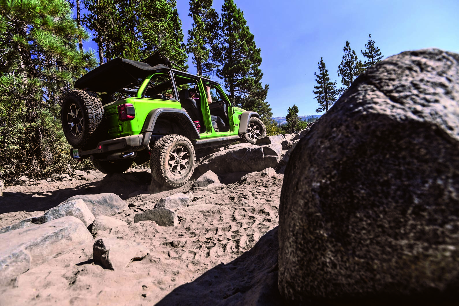 are dogs allowed on the rubicon trail