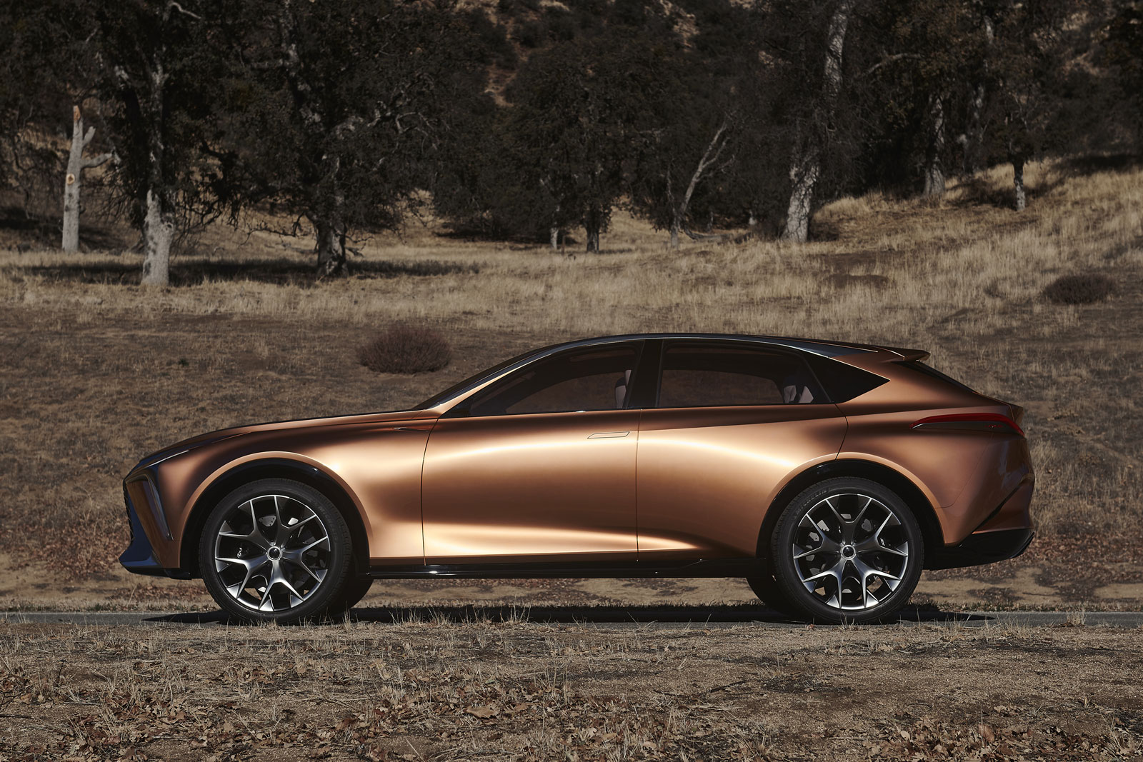 Lexus Lf 1 Limitless Previews Flagship Road Rover Rival Autocar