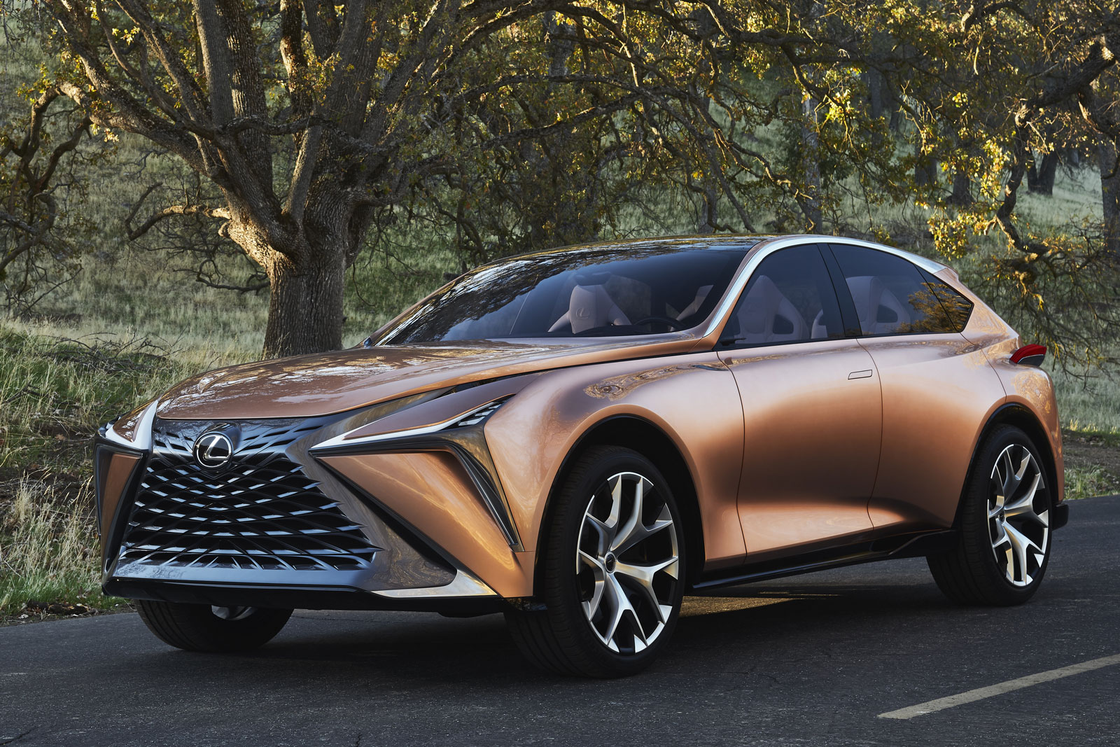 Lexus Lf 1 Limitless Previews Flagship Road Rover Rival Autocar