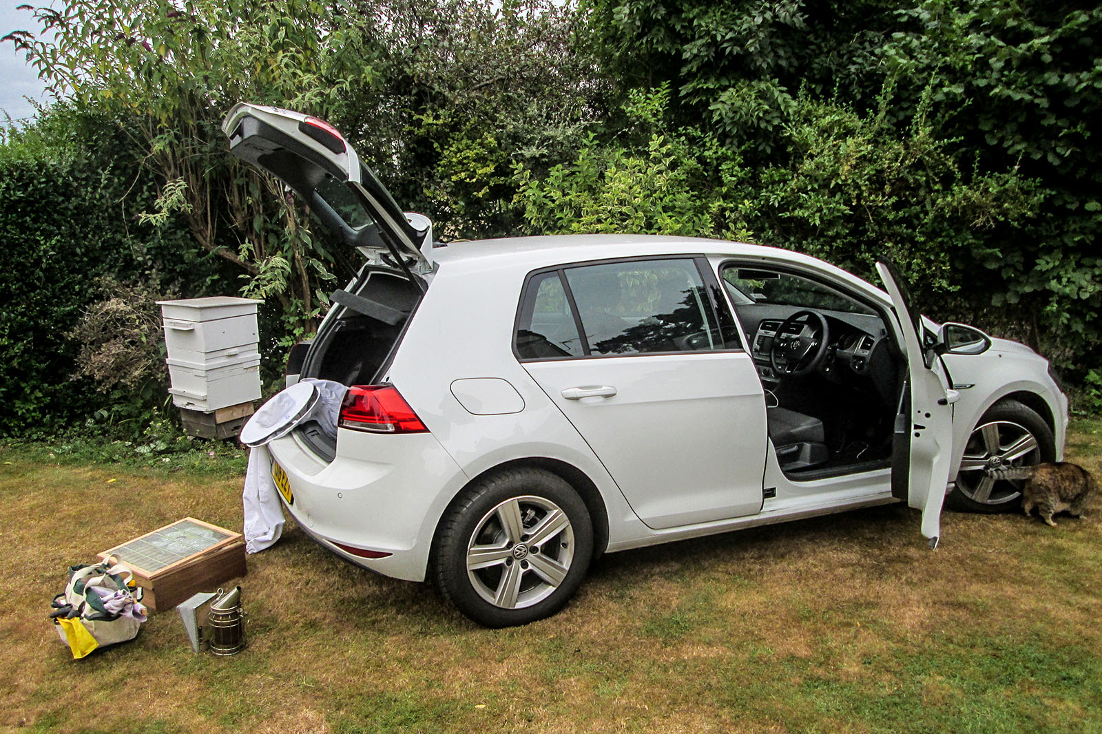 golf 1.0 tsi review