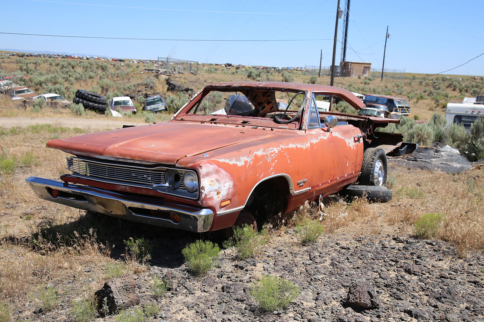 Hidden Mopar Junkyard Is a Goldmine of Rescued Barn Finds, Muscle