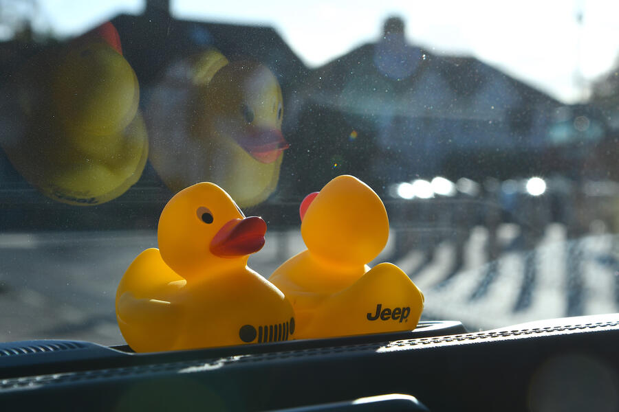 ducks on the dashboard 2