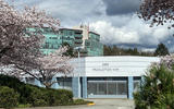 Loop plant with offices in background 2022