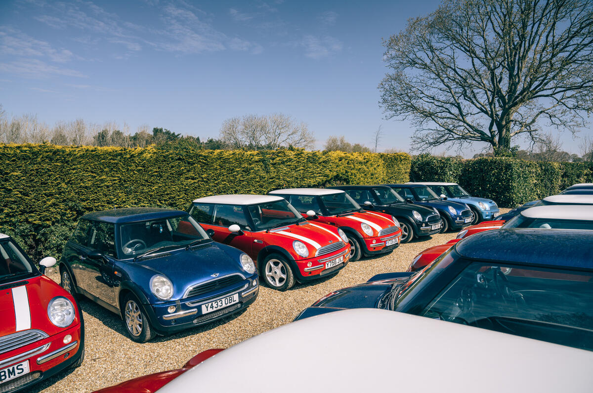 1000 Y reg minis collection hero