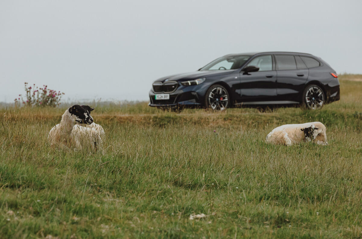 BMW i5 Touring côté avec moutons